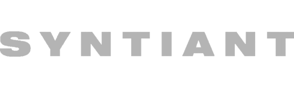 AI technology partner